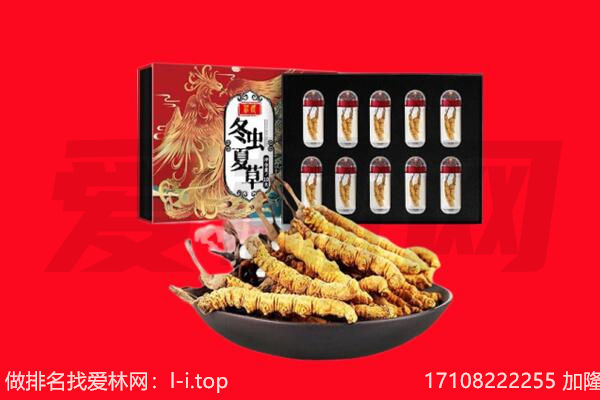 锡林郭勒苏尼特右旗回收虫草.jpg